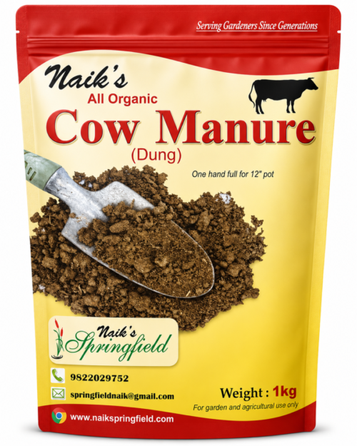cow manure