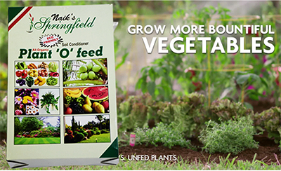 Plant O Feed