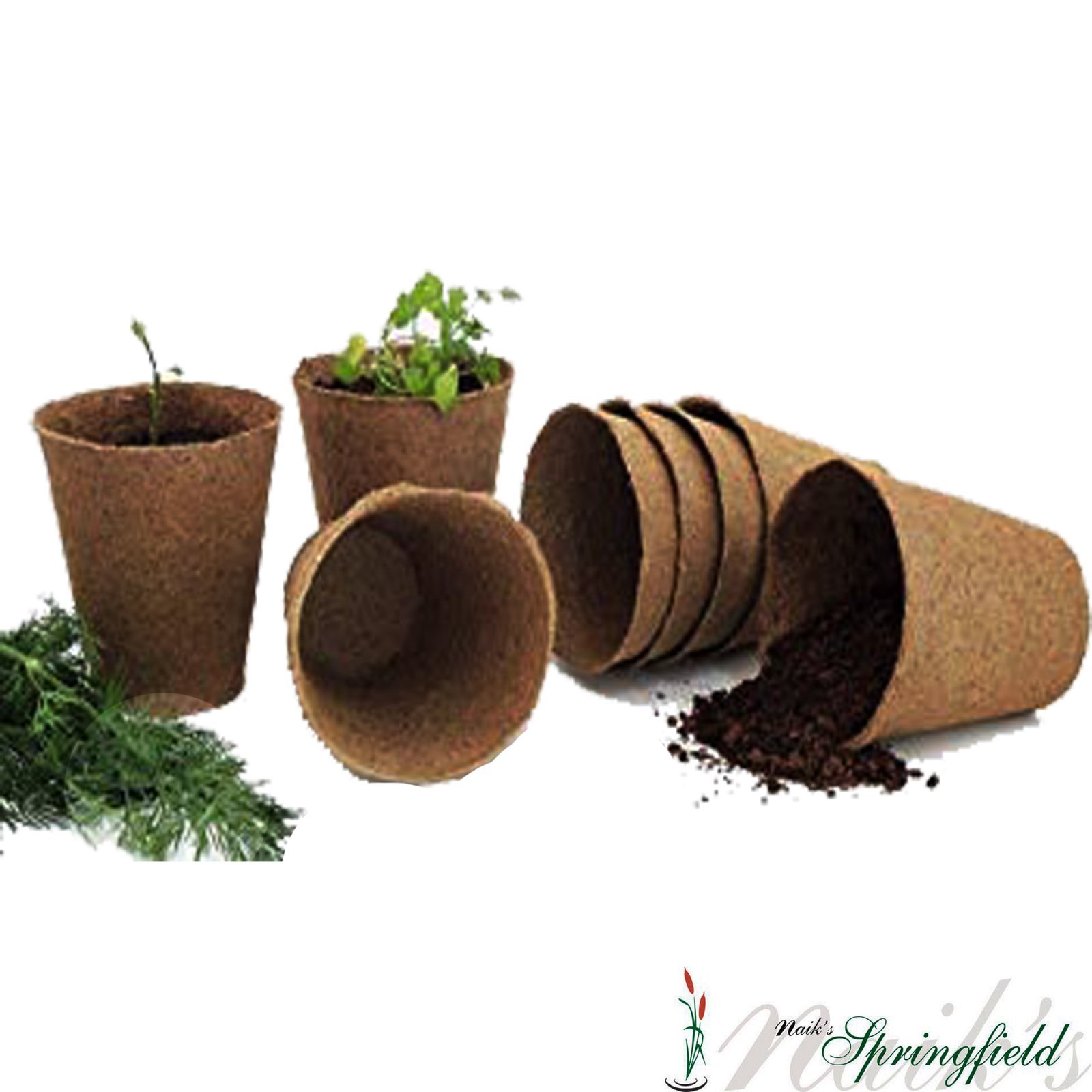 3 inch cups