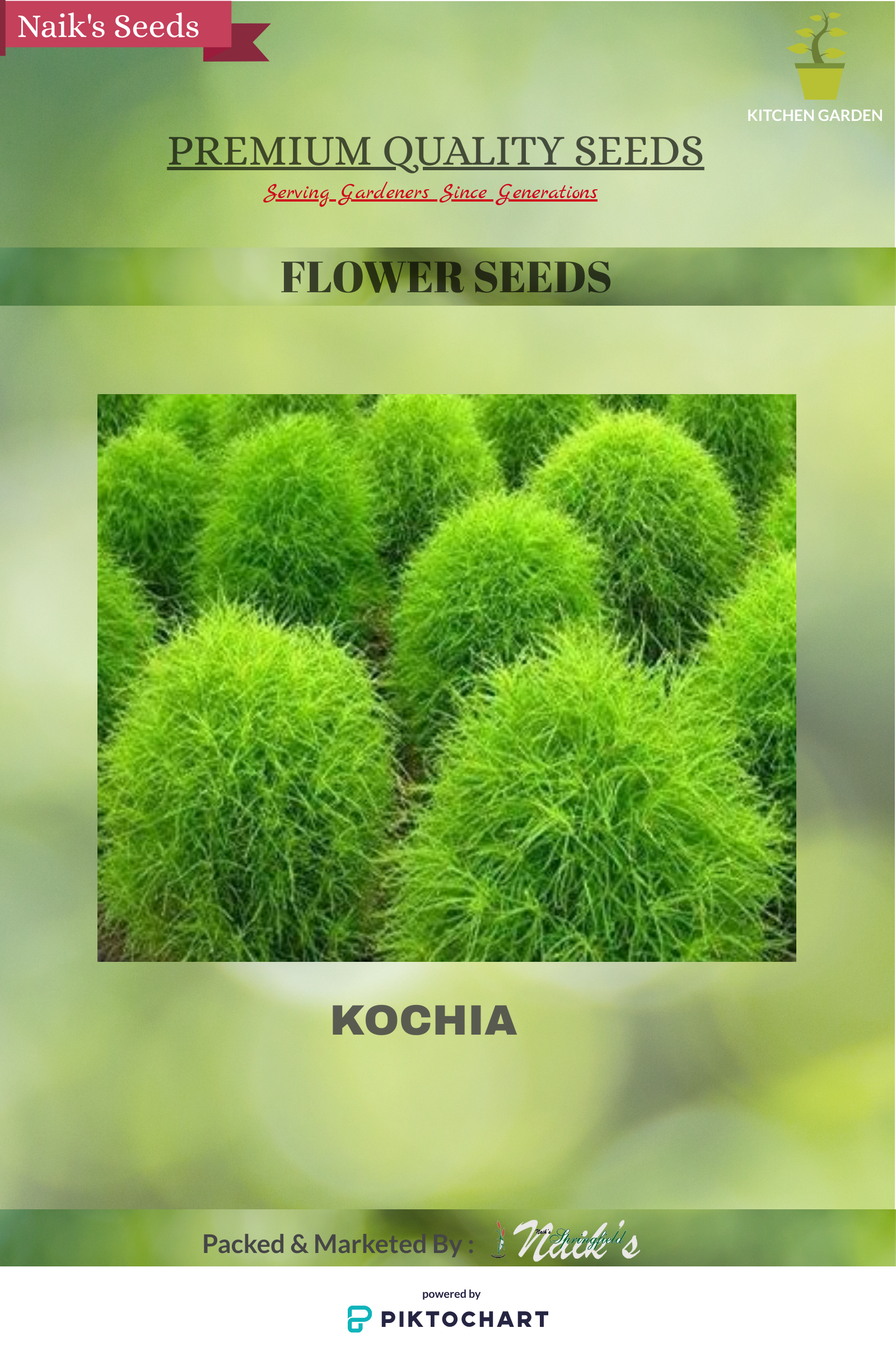 Kochia Global Green Seeds