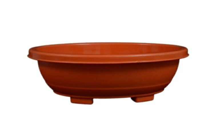 6 INCH OVAL BONSAI TRAY (Set Of 3)