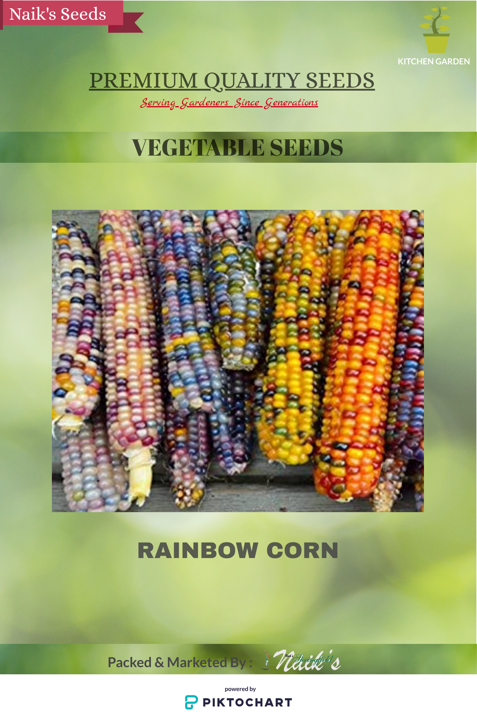 Imported Rainbow Corn Seeds