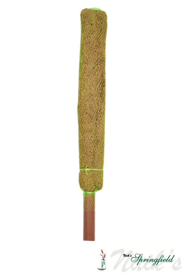 Coir Pole 2ft - Set Of 2
