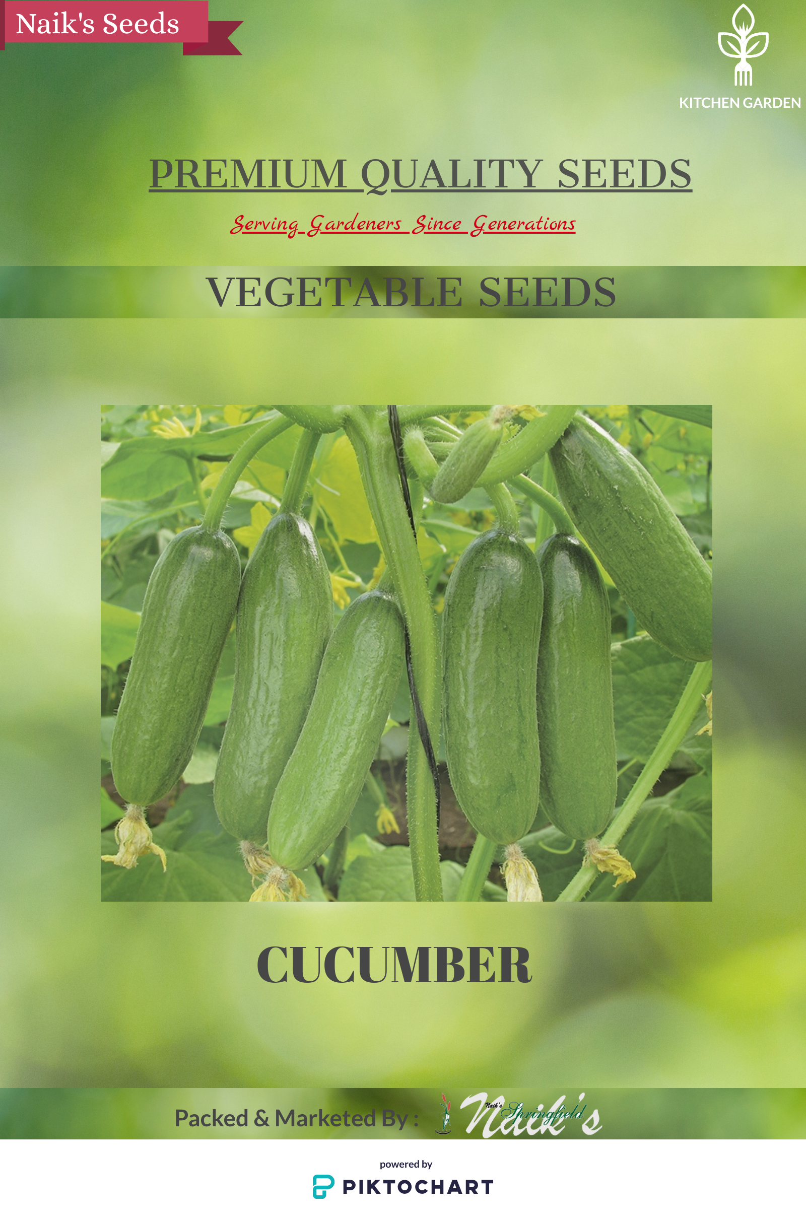 Cucumber F1 seeds