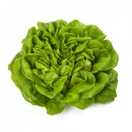 lettuce rizk zavan