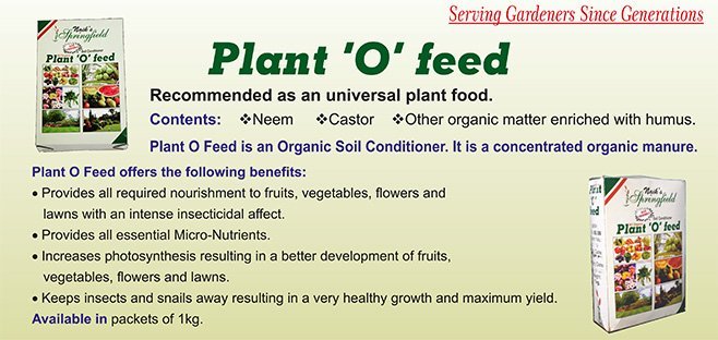 Plant O Feed