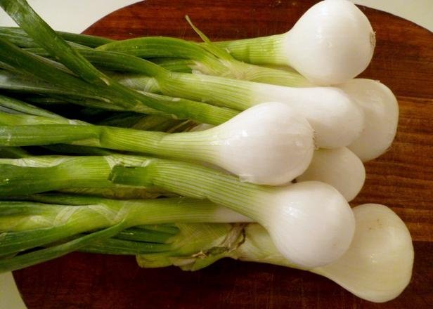 spring onion