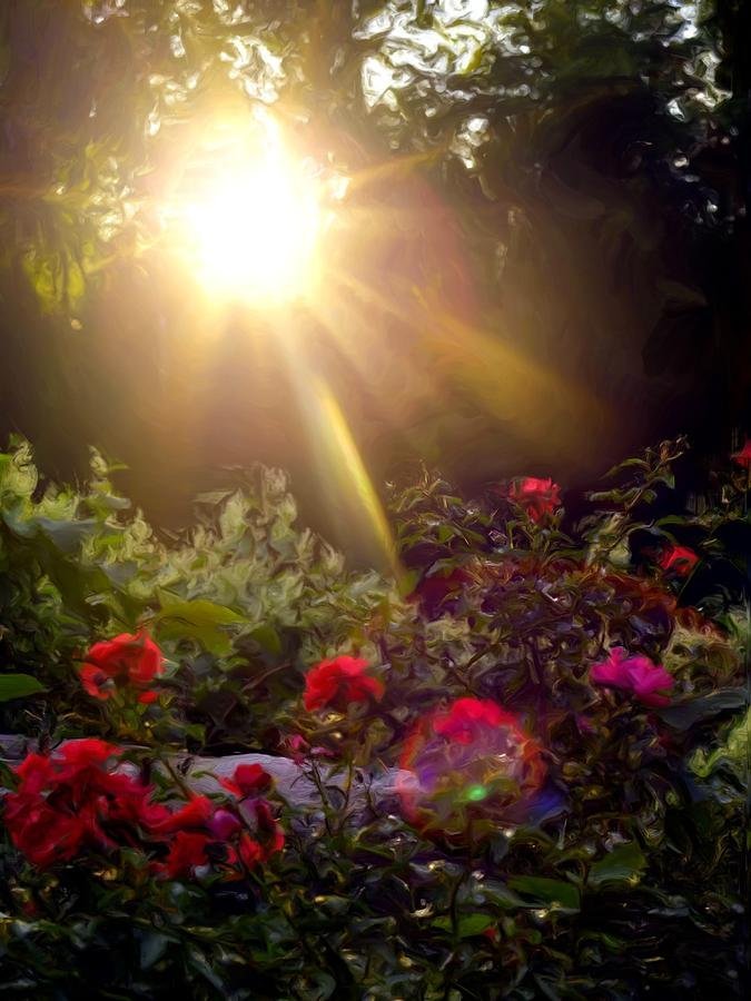Watering Your Garden